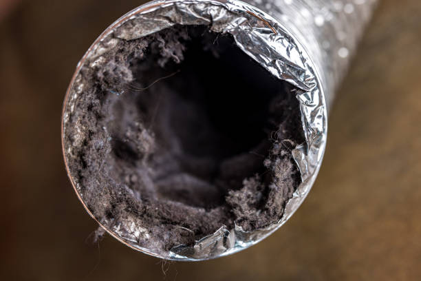 Best Affordable Air Duct Cleaning  in Elk River, MN